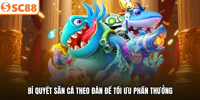 Bí quyết săn cá theo đàn để tối ưu phần thưởng