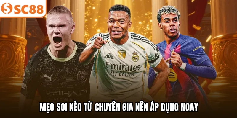 Mẹo soi kèo từ chuyên gia nên áp dụng ngay
