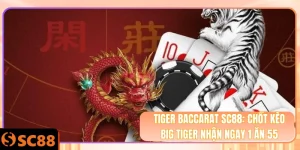 Ảnh đại diện tiger baccarat