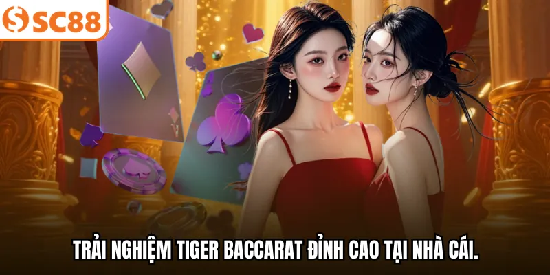 Trải nghiệm Tiger Baccarat đỉnh cao tại nhà cái